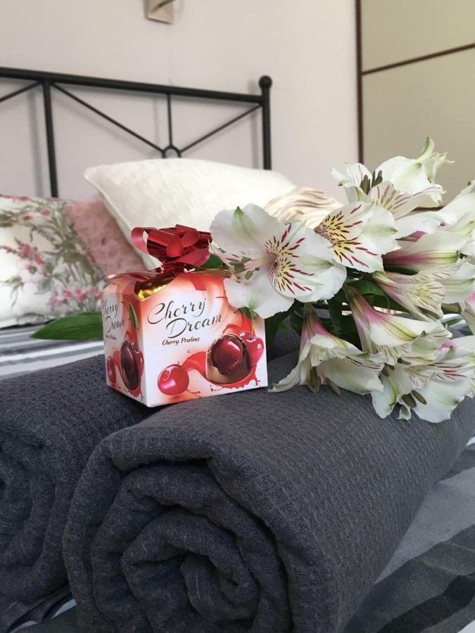Apartament Zuzia オルシュティン エクステリア 写真