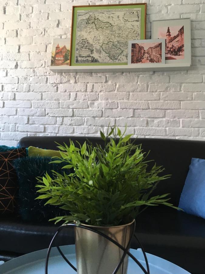Apartament Zuzia オルシュティン エクステリア 写真